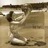 Visiting Diplomats - Big Swell - Single